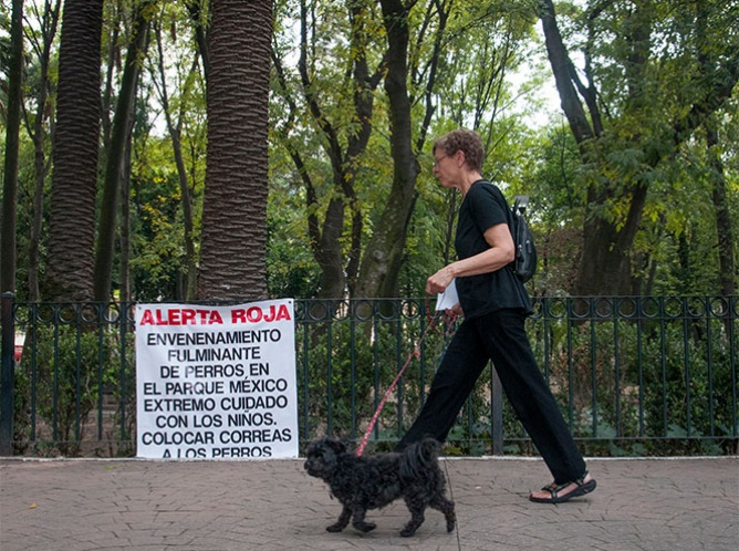Muerte de perros en Parque México tiene consecuencias penales: GDF
