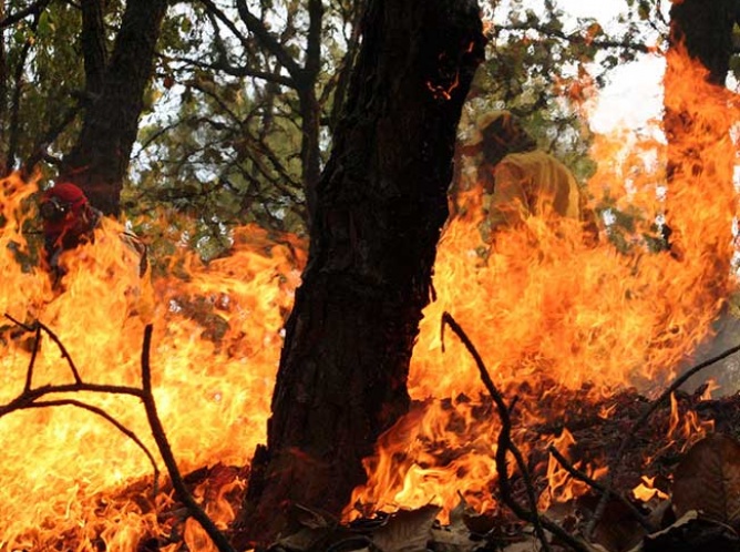 Refuerzan en Chiapas Comités de prevención de incendios 