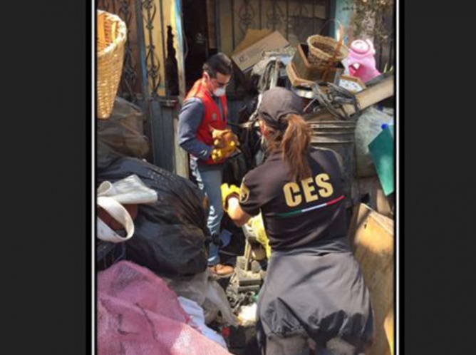 Rescatan a 40 perros hacinados en vivienda de Ecatepec 