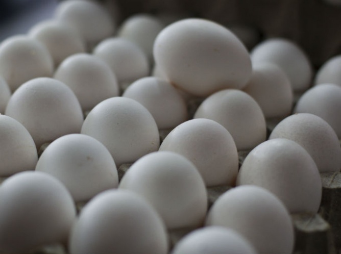 Aumento en precio del huevo es normal por temporada: Sagarpa