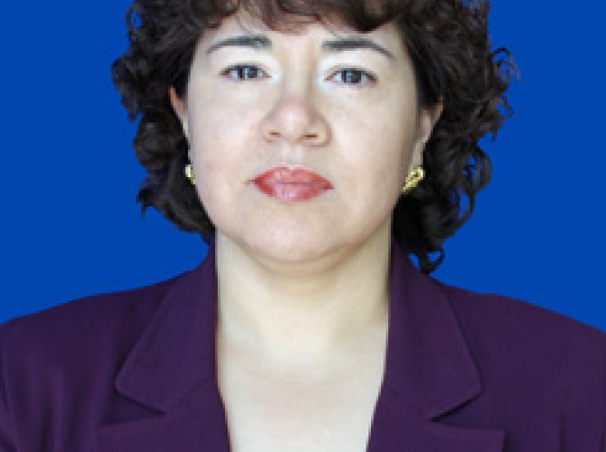 Se inicia investigación de la Procuraduría Ambiental: Leticia Mejía
