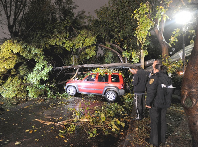 Seis vehículos dañados por caída de árbol en Tlatelolco