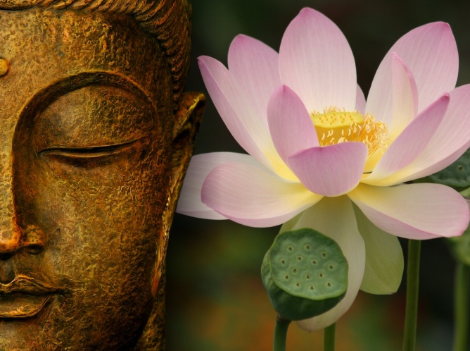 Enseñanzas de Buda y el Amor en Camino Amarillo