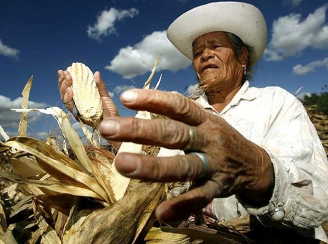 Propondremos políticas públicas para el sector agrario: Manuel Cota 