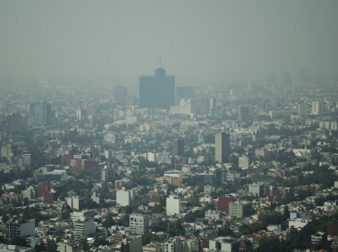 Se deben modernizar vehículos en México para bajar niveles de contaminación: Fatima Masse