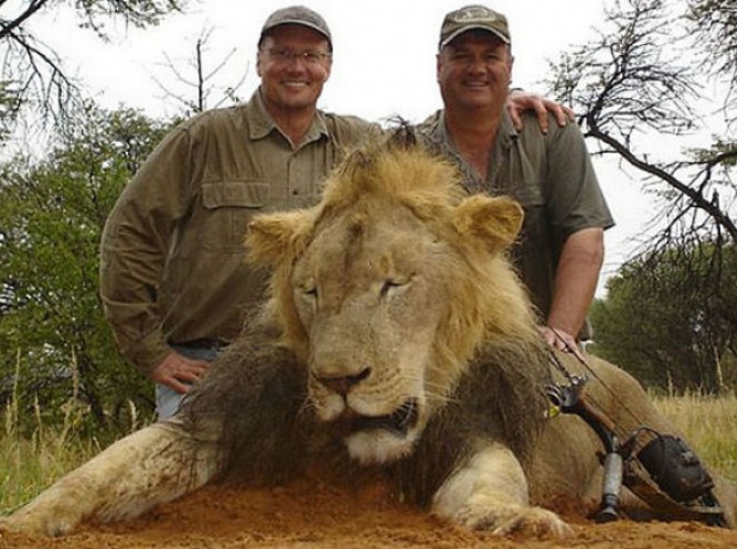 Quedan libres dos implicados en muerte del león Cecyl