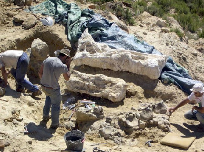 Descubren en Argentina al dinosaurio más grande del mundo