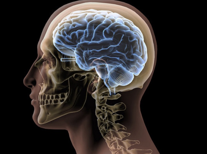 Cerebros son como huellas digitales, afirma neurocientífico