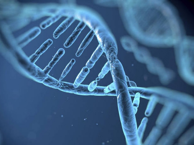 Edición genética: ¿la cura del cáncer?