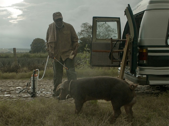'Mr. Pig' se estrena en el Festival de Cine de Guanajuato