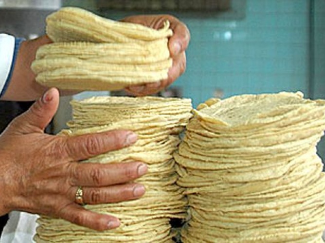 Alza en el precio de la tortilla es por causa del dólar: Lorenzo Mejía