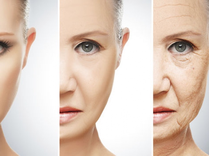 Descubren científicos australianos como revertir el envejecimiento
